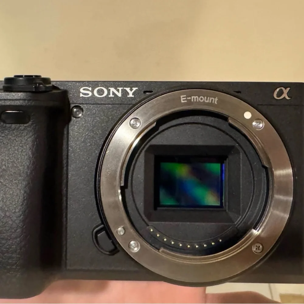 Sony a6400 with Black Display